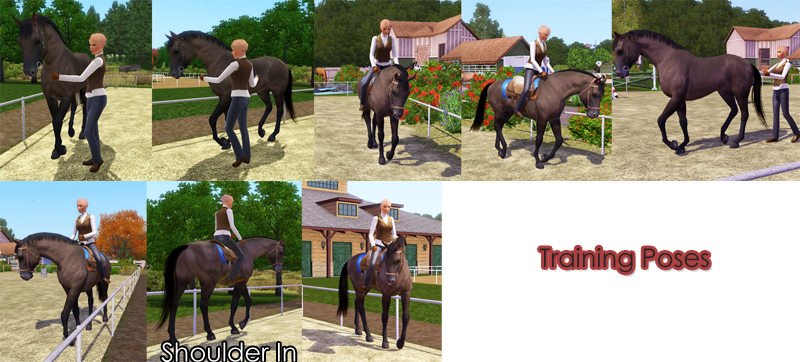 Horse Pose Tool 3D